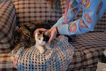 Click to see 05 Cloey's Friend.jpg