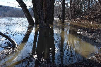 Click to see 07 Big Muddy.jpg