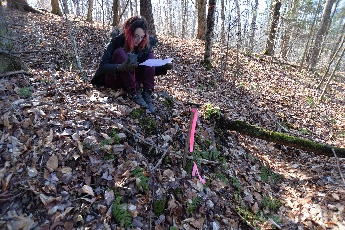 Click to see 29 At the Boundary.jpg