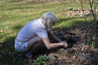 Click to see 18 Weeding.jpg