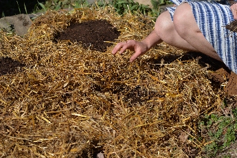 Click to see 20 Planting.jpg