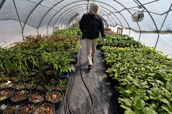 Click to see 32 W&W Gardens 02.jpg