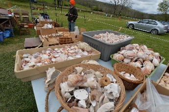 Click to see 13 Far From the Beach.jpg