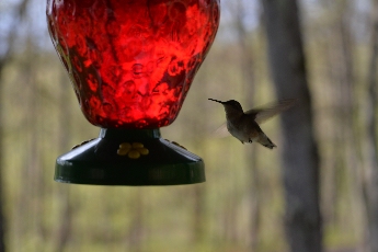 Click to see 26 Blurred.jpg