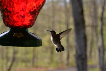 Click to see 27 Blurred.jpg