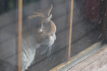 Click to see 28 Watching.jpg