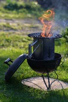 Click to see 31 Grilling.jpg