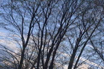 Click to see 35 In a Van Window.jpg