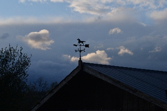 Click to see 38 Weather Vane.jpg