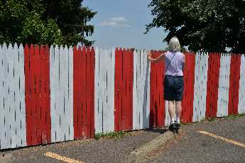 Click to see 19 Sugar Lips Back Fence.JPG