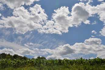 Click to see 22 Beautiful Being Better.JPG