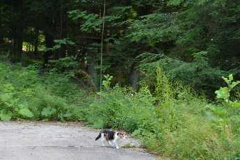 Click to see 25 Cloey on the Pad.JPG