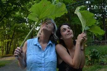 Click to see 42 Niads.JPG