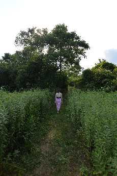 Click to see 47 July 13th Swim.JPG