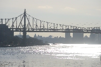 Click to see 05 Gleaming.jpg