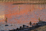 Click to see 07 City Sunset.jpg