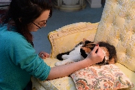 Click to see 30 Comfy.jpg