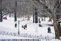 Click to see 35 Sledders.jpg