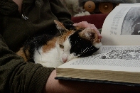 Click to see 41 Learned.jpg