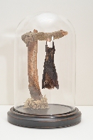 Click to see 42 My Little Friend.jpg