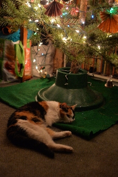 Click to see 01 Under the Tree.jpg