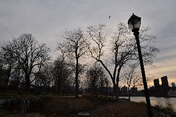 Click to see 04 Randalls Island.jpg