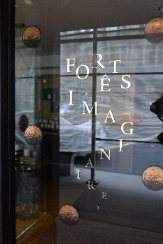 Click to see 16 Xmas Walk 06.jpg