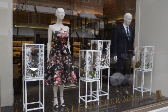 Click to see 24 Xmas Walk 14.jpg