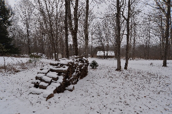 Click to see 01 Cold Wood.jpg