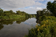 Click to see 12 Peace.jpg