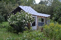 Click to see 16 Rose of Sharon.jpg