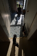 Click to see 19 Peace.jpg