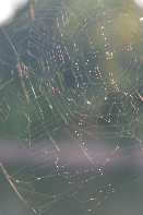 Click to see 46 Riverfest 06.jpg