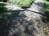Click to see 06 Morris-Jumel Paving.jpg