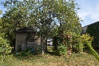 Click to see 04 Backyard.jpg