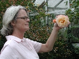 Click to see 08 Marion Rose.JPG