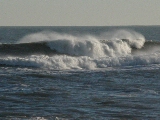 Click to see 01 Big Surf 01.JPG