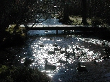 Click to see 16 Nature Trail 01.JPG