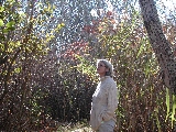 Click to see 19 Nature Trail 04.JPG