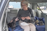 Click to see 25 Breakfast on Sunday.jpg