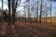 Click to see 28 Waning Light.jpg