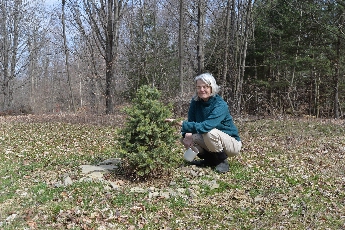 Click to see 04 Happy Camper.jpg