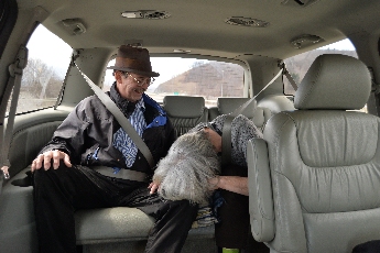 Click to see 13 Kow Tow.jpg