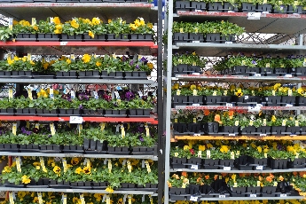 Click to see 14 Optimism.jpg