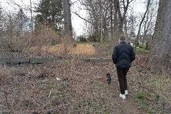 Click to see 17 Walkabout.jpg