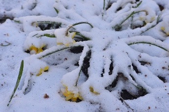 Click to see 18 Cruel April.jpg