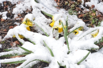 Click to see 19 Savage Blow.jpg