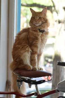 Click to see Corning 08 Rudy.JPG