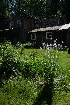 Click to see Flowers 13 Phlox.JPG