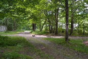 Click to see Shiloh 02 Whitney Point.JPG